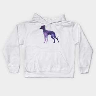 galaxy whippet Kids Hoodie